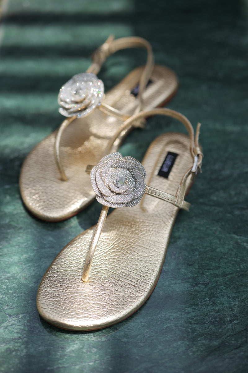 Elan Gold