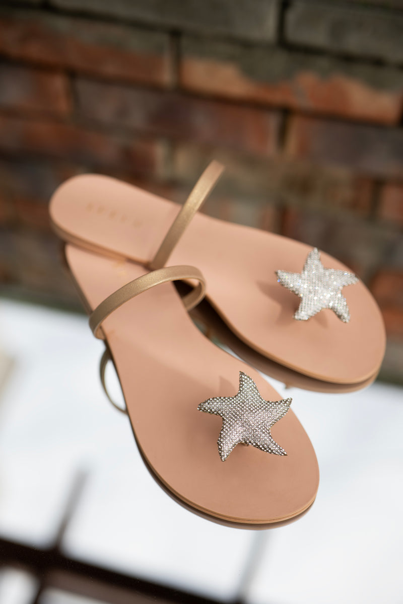 STARFISH